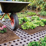 MAXI GARDEN BOARD at an allotment