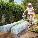 SUNNY GROWING TUNNEL watering