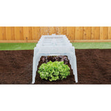 SUNNY GROWING TUNNEL in situ