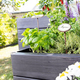 ERGO QUADRO RAISED BED SYSTEM details