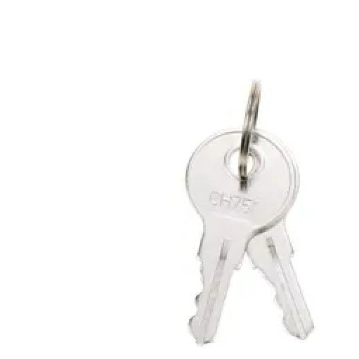 Replacement keys For FuelMaster & TruckMaster (Pack Of 2)