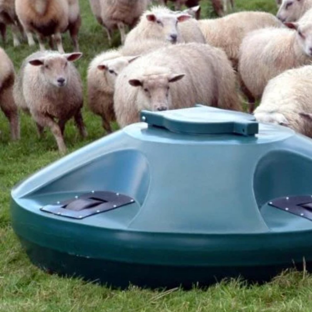 Livestock Feeders & Dispensers